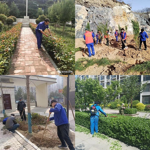 旭升物業(yè)----綠化服務